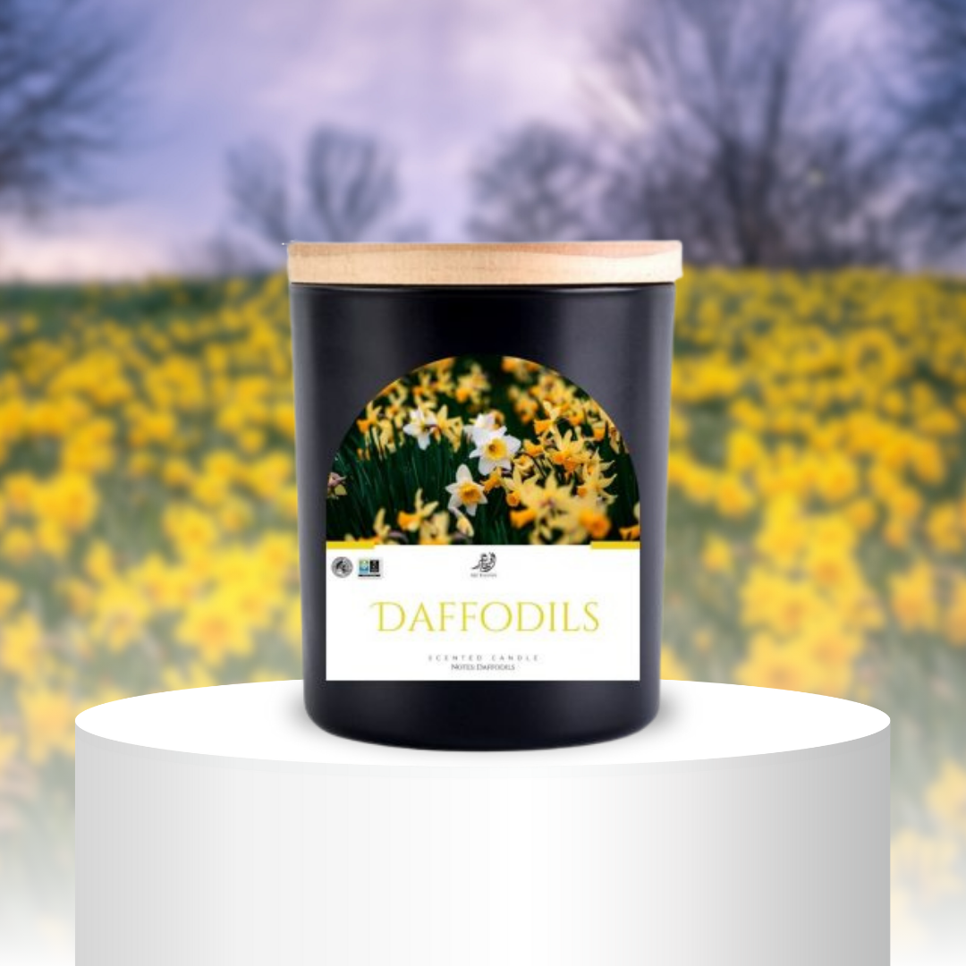 Daffodils